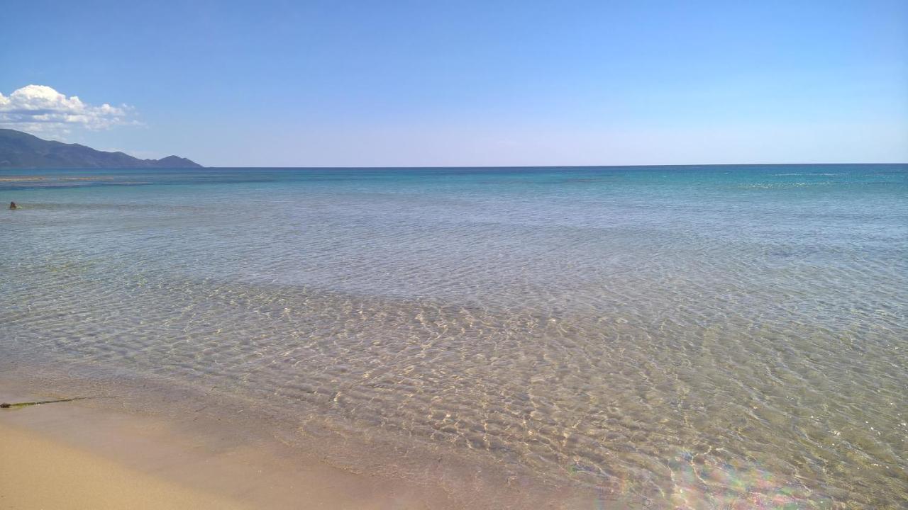בית הארחה אלגהרו 	Arcamyrtus מראה חיצוני תמונה